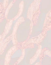 Load image into Gallery viewer, Scarf - Abstract Pink Print
