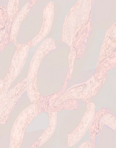 Scarf - Abstract Pink Print